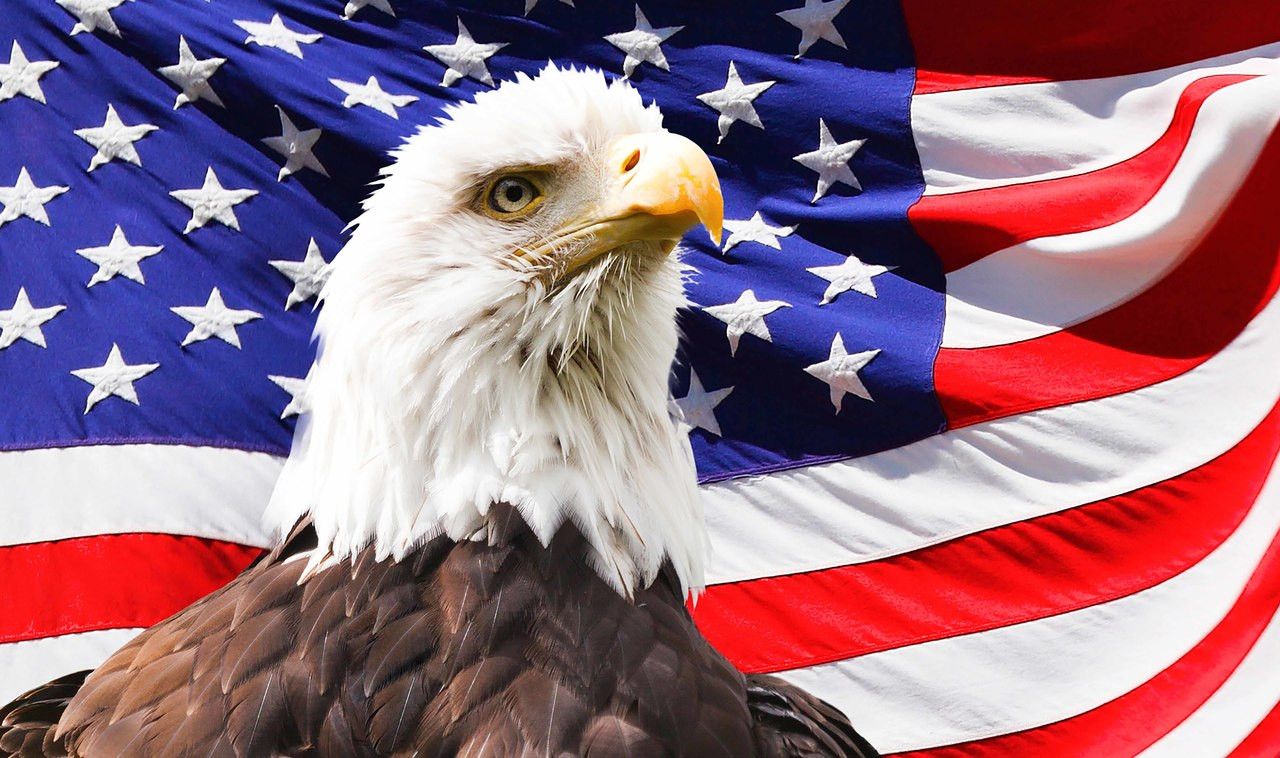 patriotic-gun-cleaning-counter-mat-8